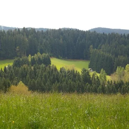 Am Sulzbächle * Bad Rippoldsau-Schapbach